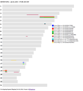 Chromosome map of detectable SINTON  DNA